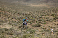 IMG_9893-303t