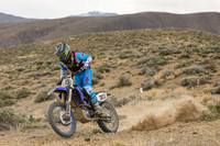 IMG_9900-303t