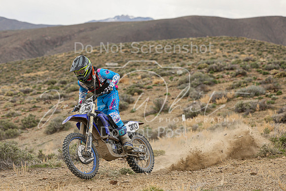 IMG_9900-303t