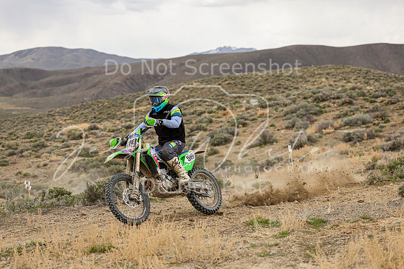 IMG_9943-519t