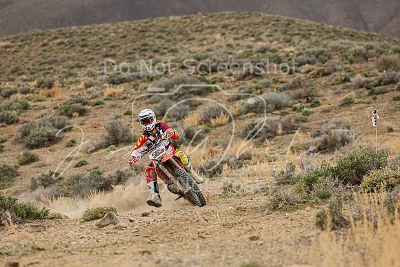 IMG_9964-565p