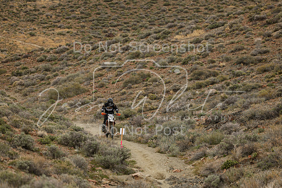 IMG_0815-209a