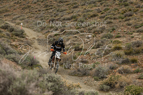 IMG_0820-209a