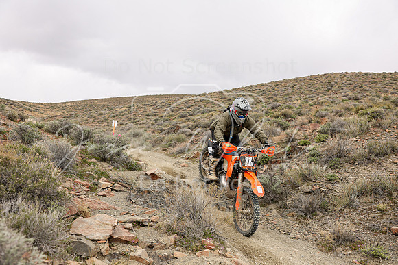 IMG_0827-11n