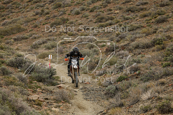 IMG_0816-209a