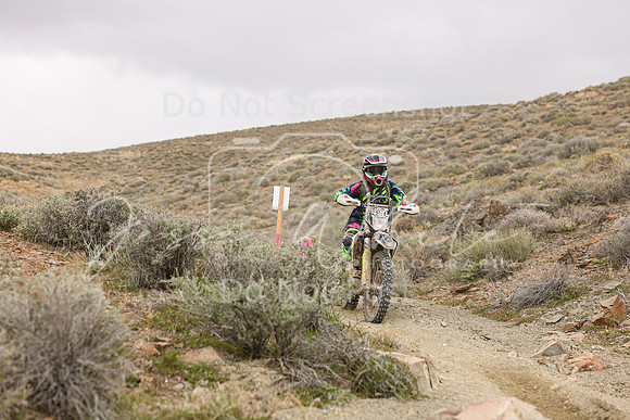 IMG_0843-420w
