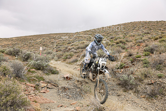 IMG_0870-222a