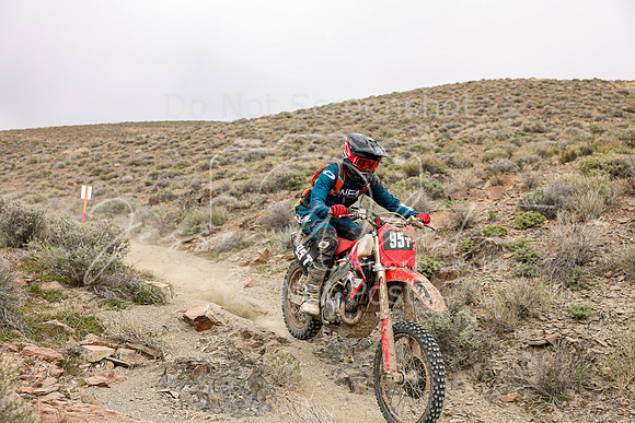 IMG_0876-95t