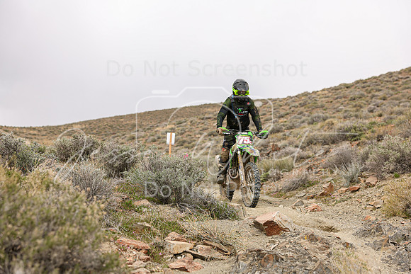 IMG_0904-75c