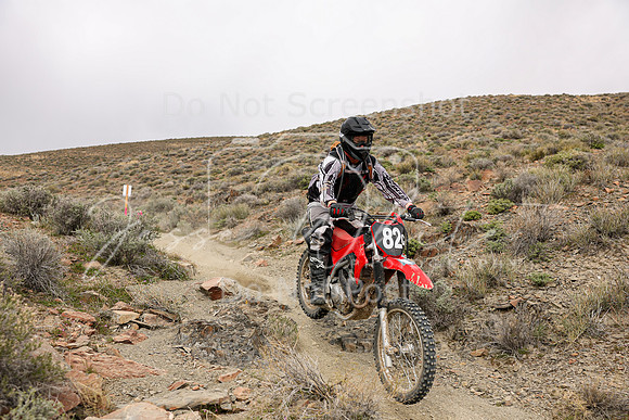 IMG_0900-82c