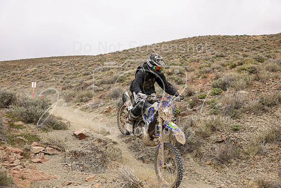 IMG_0917-53x