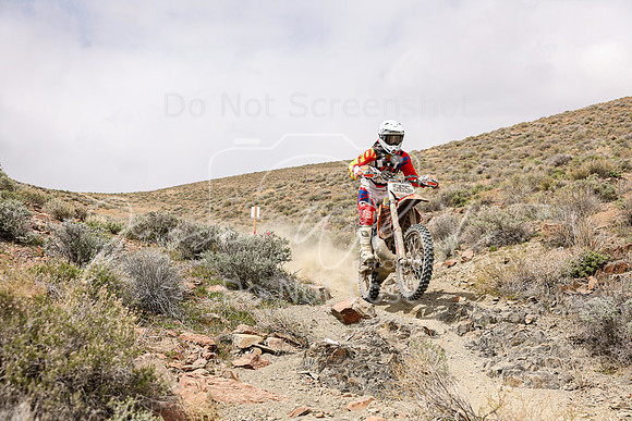 IMG_0963-565p