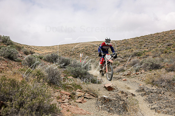 IMG_0971-69p