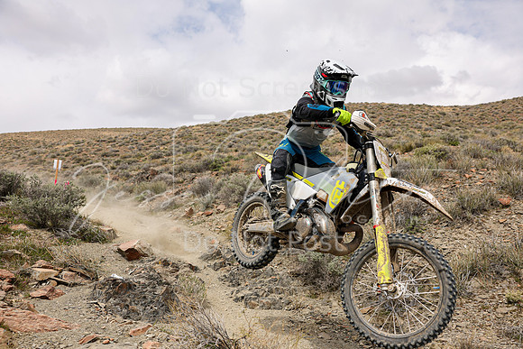 IMG_0983-12n