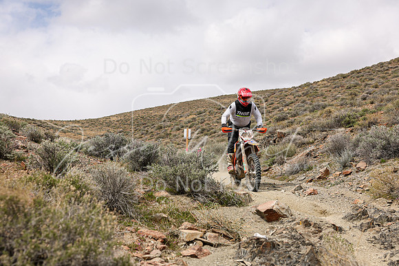 IMG_0987-414c