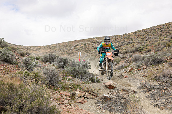 IMG_1004-113n