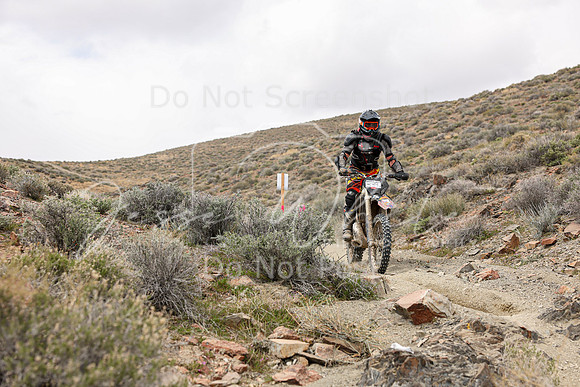 IMG_1038-399p