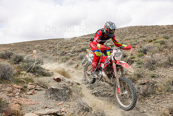 IMG_1081-101p