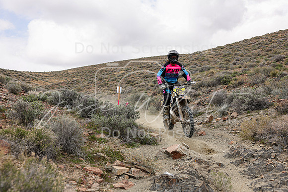 IMG_1137-85n