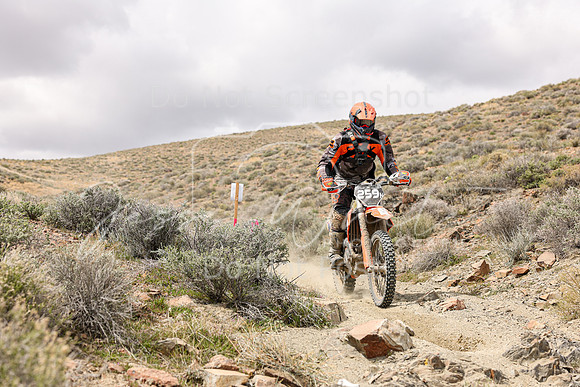 IMG_1216-259n