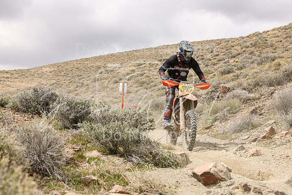 IMG_1224-545p