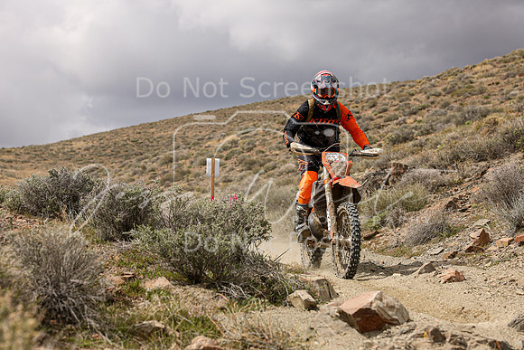 IMG_1392-