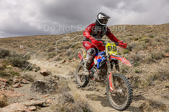 IMG_1388-615p