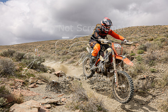 IMG_1395-