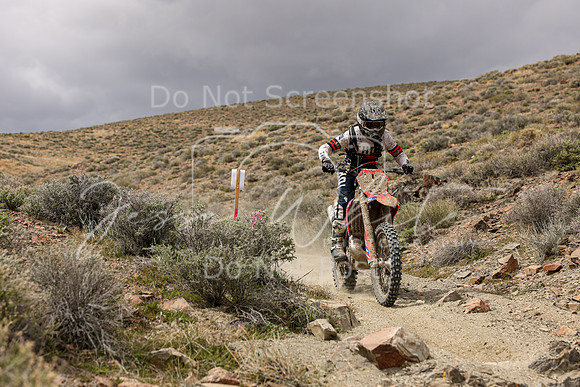 IMG_1426-867p