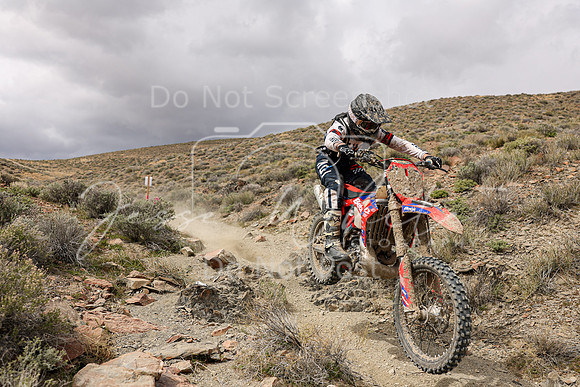 IMG_1428-867p