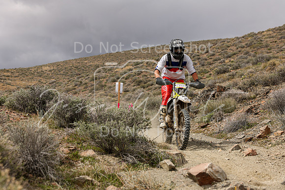 IMG_1457-177n