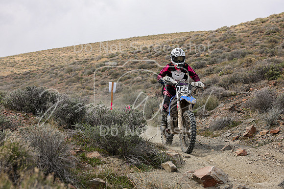 IMG_1534-723w