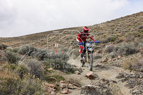 IMG_1542-85t