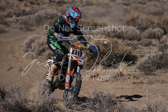 IMG_9131-88j