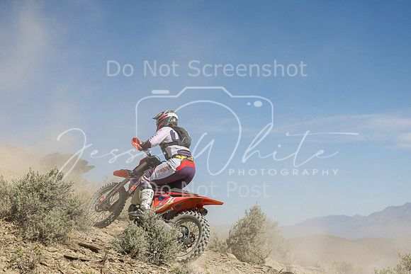IMG_3080-1l