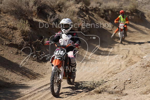 IMG_6953-474v