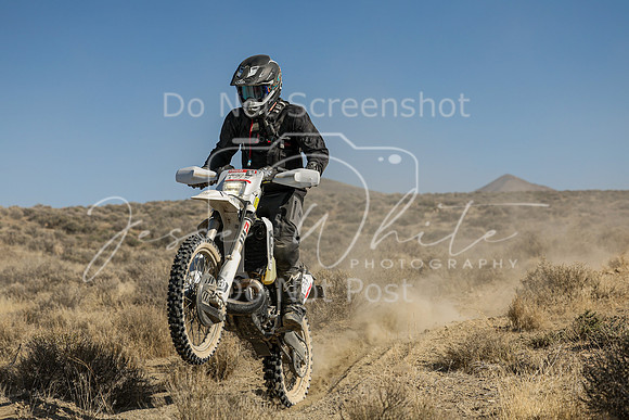 IMG_7736-274p