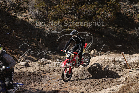 IMG_9651-nt450