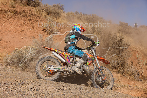 IMG_3028-102w