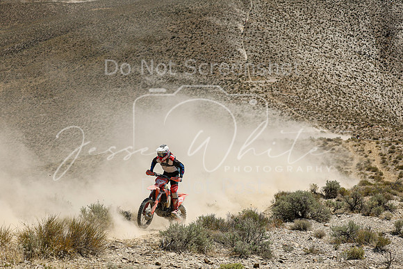 IMG_3000-163v