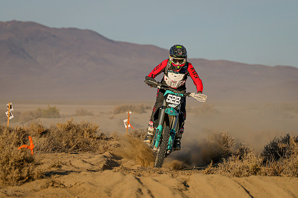 Amanda Novick 522V
