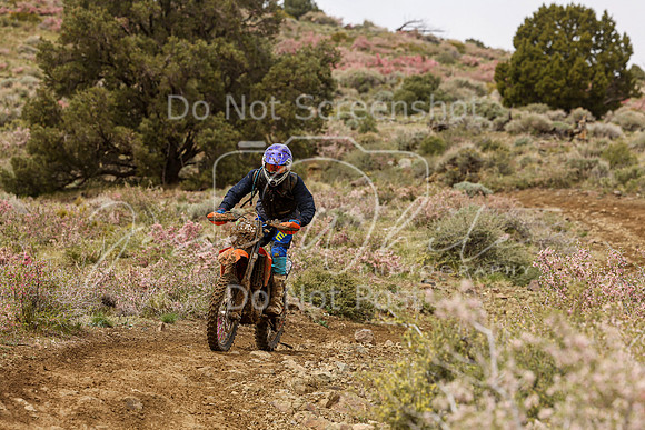 IMG_2320-386