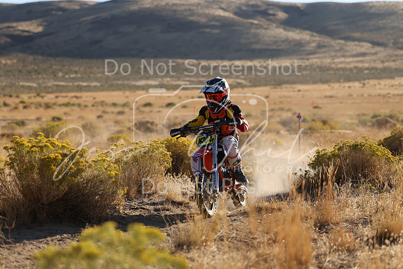 IMG_0237-n304p