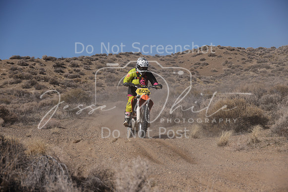 IMG_9320-802v