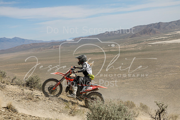 IMG_3113-402l