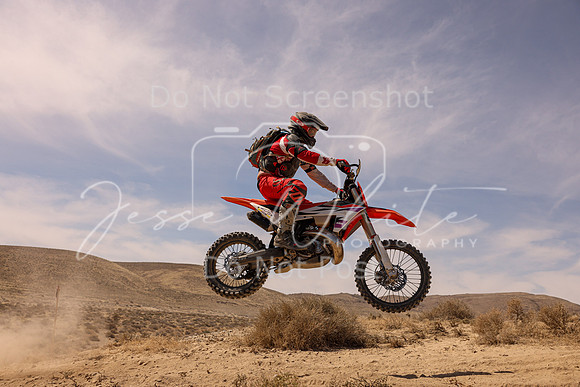IMG_3377-206c