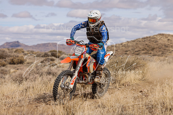 IMG_0520-123a