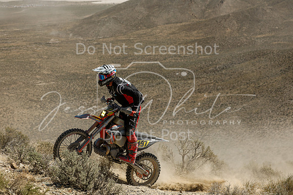 IMG_3483-n497