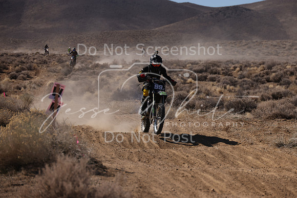 IMG_8733-99j