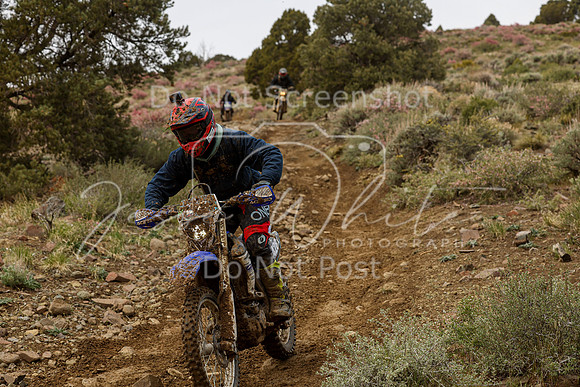 IMG_2247-428